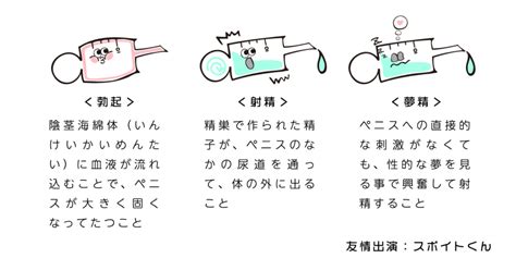 夢中射精|夢精